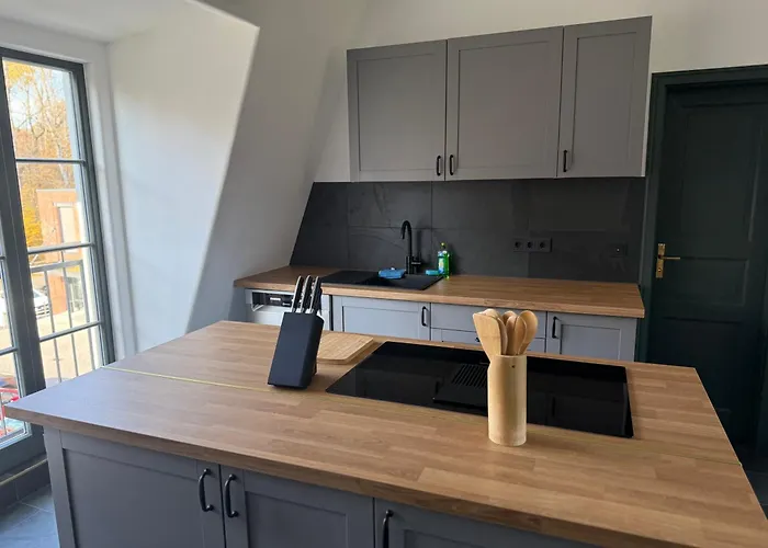 Alte Kammfabrik Og Apartamento Michelstadt